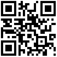 QR Code for the Suck UK Beer Socks - Lager