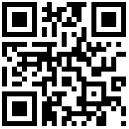 QR Code for the Designers Guild Porcelain De Chine Pasta Bowls, Set of 4