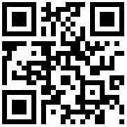 QR Code for the Salisbury & Co Chicago Champagne Tub, 16L