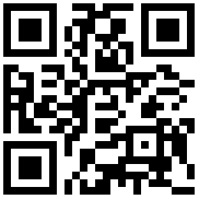 QR Code for the Salisbury & Co Pilsner Celebrate Beer Glasses, Set of 4