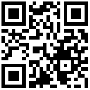 QR Code for the De Buyer Stainless Steel Drum Sieve - 21cm